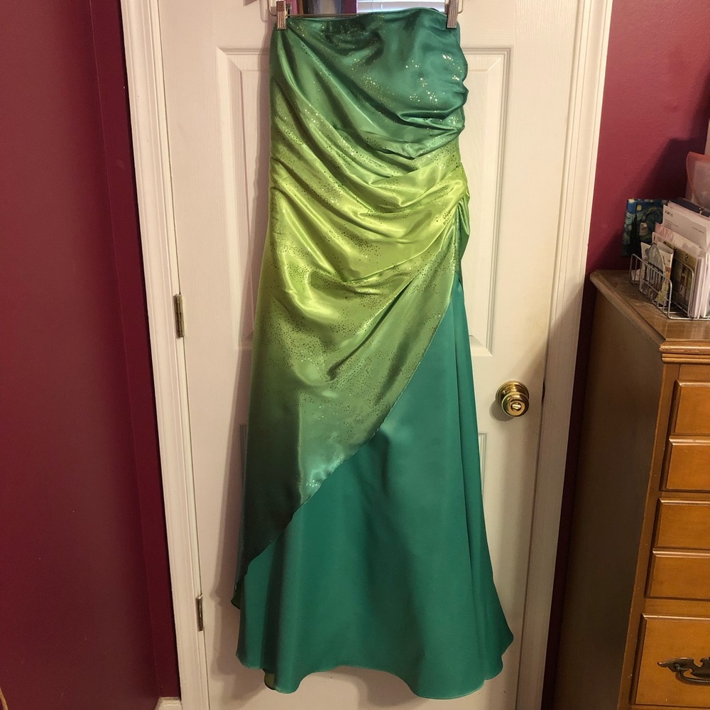 Prom Dress Size 15/16 Jump Apparel/Wendye Chaitin